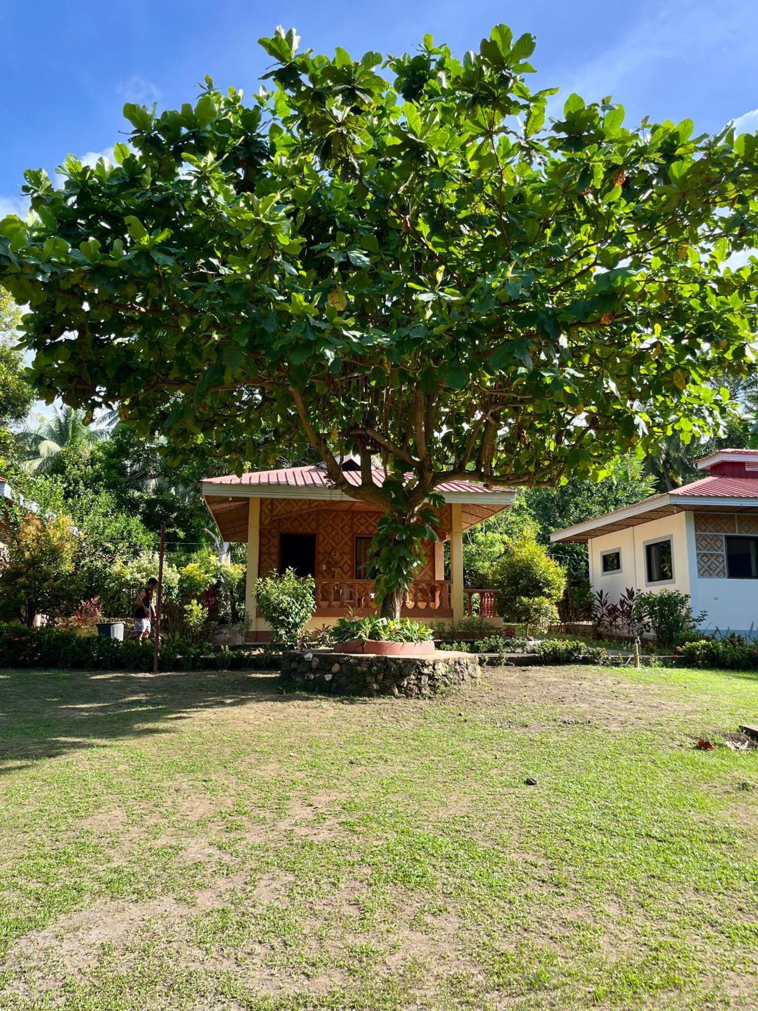 Paco'S Garden Home Stay Mambajao Extérieur photo